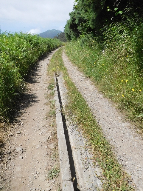 26 June 2016 Curral circuit — Corrida with the Madre and the start of the Levada do Rouca — photo 7