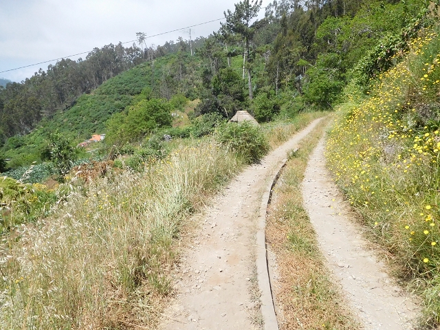 26 June 2016 Curral circuit — Corrida with the Madre and the start of the Levada do Rouca — photo 8