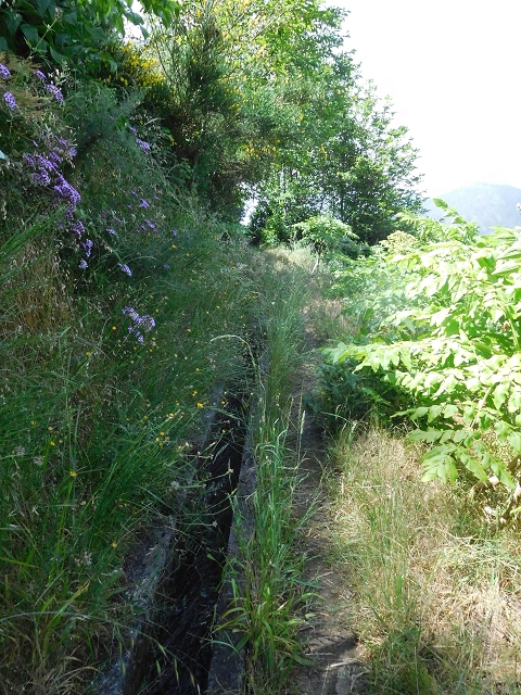 26 June 2016 Curral circuit — Along the eastern branch of the Levada da Rouca below Corrida — photo 1
