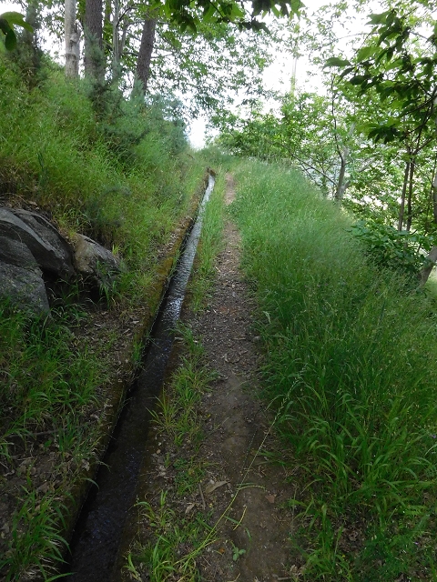 26 June 2016 Curral circuit — Along the eastern branch of the Levada da Rouca below Corrida — photo 3