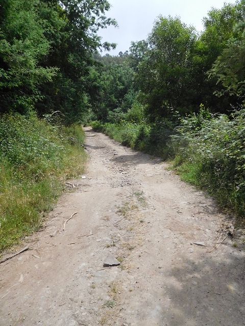 26 June 2016 Curral circuit — To Boca dos Namorados and descent to Curral de Baixo — photo 1
