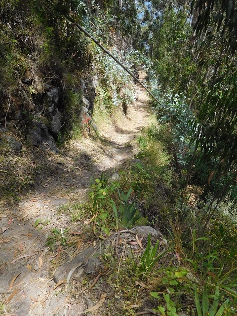26 June 2016 Curral circuit — To Boca dos Namorados and descent to Curral de Baixo — photo 3