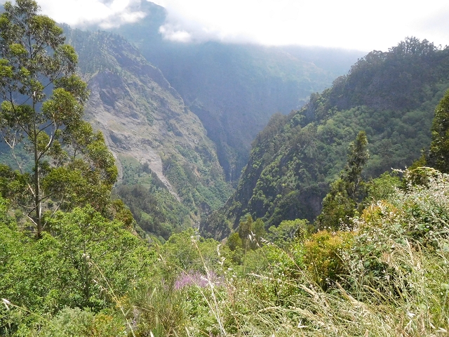 26 June 2016 Curral circuit — To Boca dos Namorados and descent to Curral de Baixo — photo 7