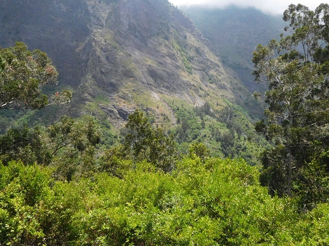26 June 2016 Curral circuit — To Boca dos Namorados and descent to Curral de Baixo — photo 10