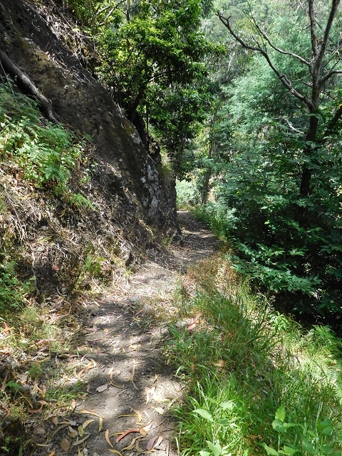 26 June 2016 Curral circuit — To Boca dos Namorados and descent to Curral de Baixo — photo 11