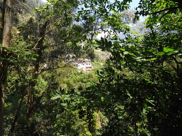 26 June 2016 Curral circuit — To Boca dos Namorados and descent to Curral de Baixo — photo 12