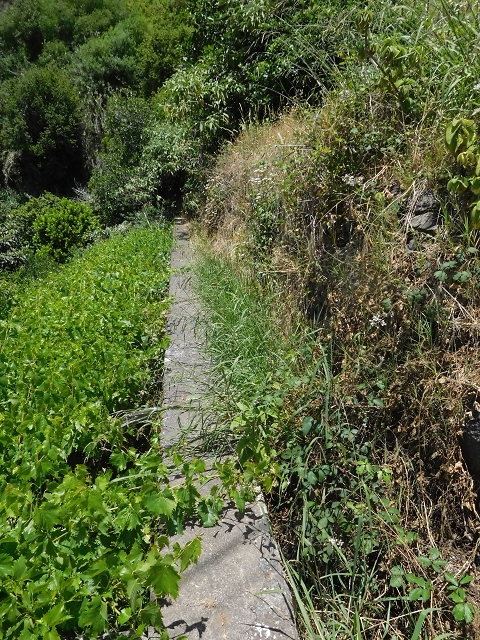Levada do Curral e Castelejo — Foto 29