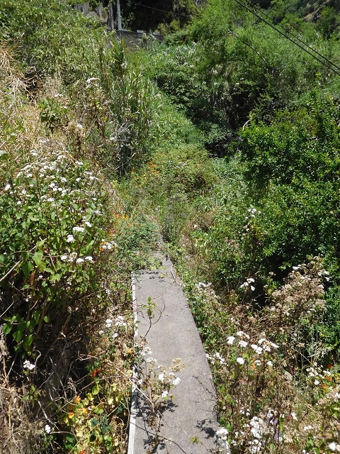 Levada do Curral e Castelejo — Foto 30