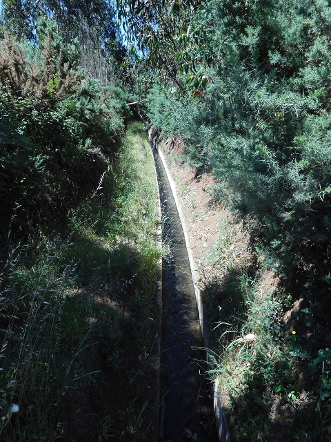 25.06.2016 Levada do Pico das Eiroses — Von der ER-206 bis zum Wasserhaus — Foto 1