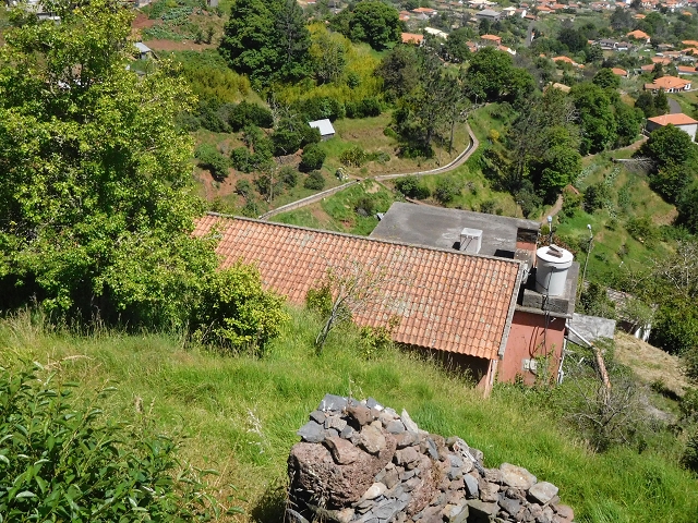 25.06.2016 Levada do Pico das Eiroses — Vom Wasserhaus zur Bacheinleitung — Foto 4