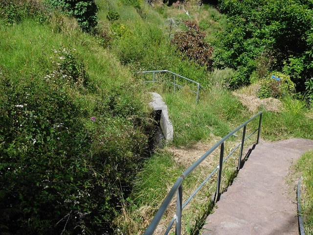 25.06.2016 Levada do Pico das Eiroses — Vom Wasserhaus zur Bacheinleitung — Foto 5