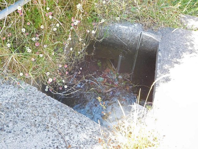 25.06.2016 Levada do Pico das Eiroses — Vom Wasserhaus zur Bacheinleitung — Foto 6