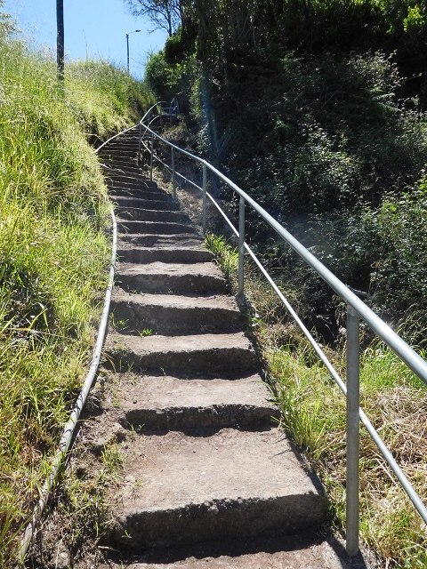 25.06.2016 Levada do Pico das Eiroses — Zurück zur ER-206 — Foto 1