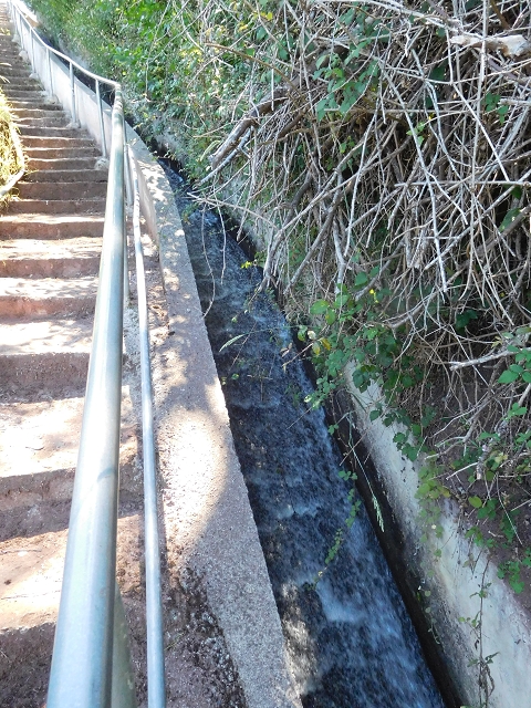 25.06.2016 Levada do Pico das Eiroses — Zurück zur ER-206 — Foto 2