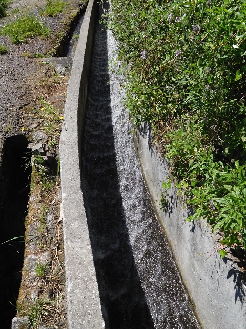 25.06.2016 Levada do Pico das Eiroses — Zurück zur ER-206 — Foto 4