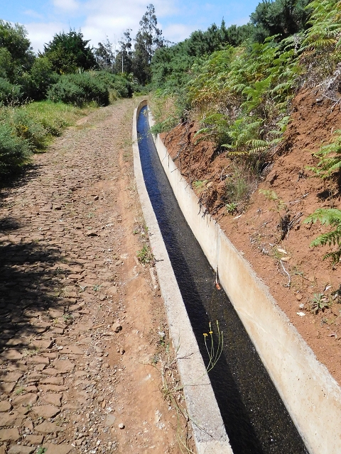 25.06.2016 Levada do Pico das Eiroses — Zurück zur ER-206 — Foto 7