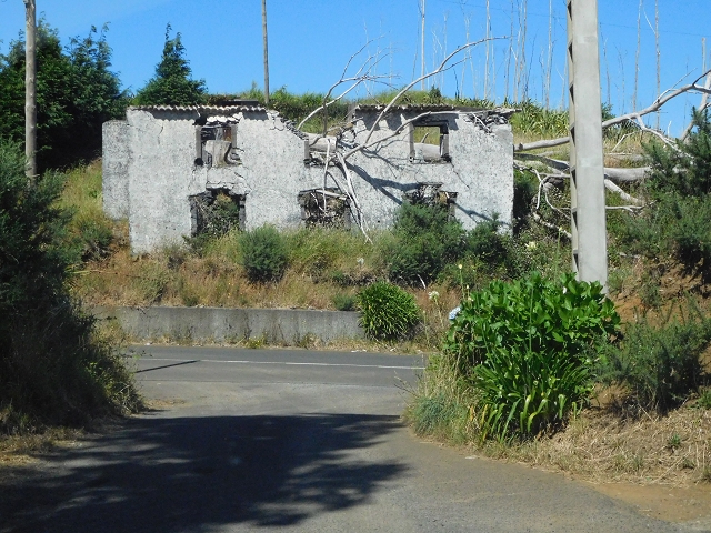 25.06.2016 Levada do Pico das Eiroses — Zurück zur ER-206 — Foto 8