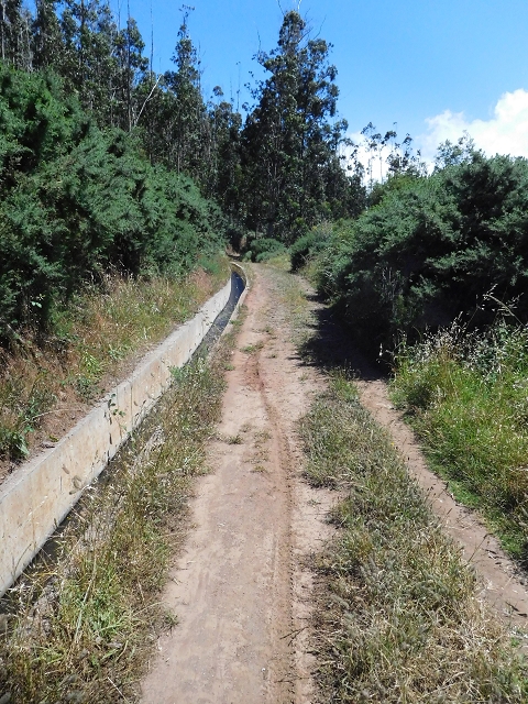 25.06.2016 Levada do Pico das Eiroses — Von der ER-206 bis zum Wasserhaus — Foto 4