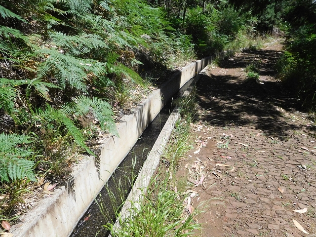 25.06.2016 Levada do Pico das Eiroses — Von der ER-206 bis zum Wasserhaus — Foto 5