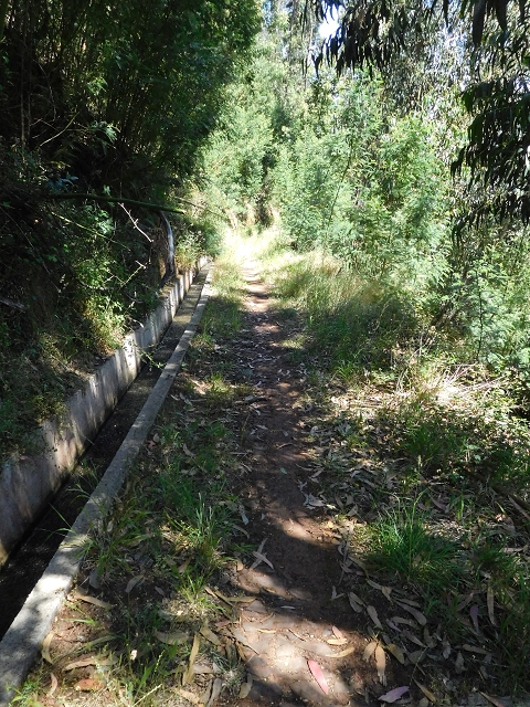 25.06.2016 Levada do Pico das Eiroses — Von der ER-206 bis zum Wasserhaus — Foto 6