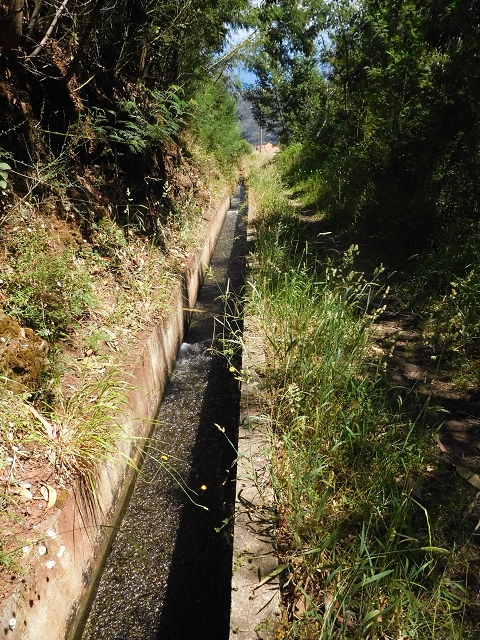 25.06.2016 Levada do Pico das Eiroses — Von der ER-206 bis zum Wasserhaus — Foto 7