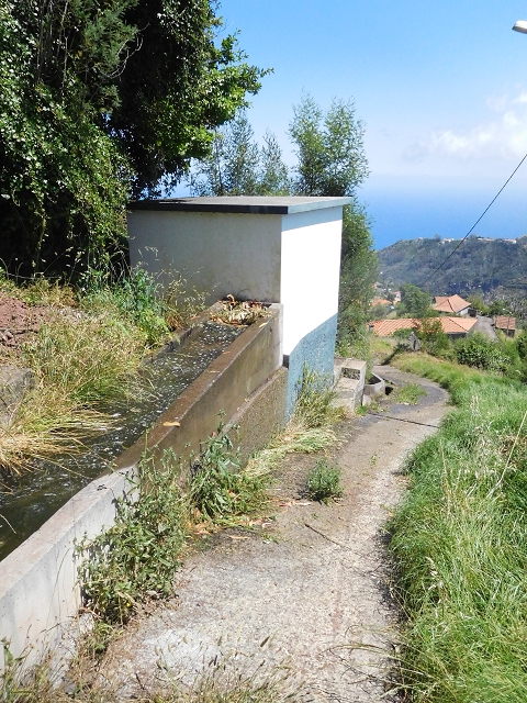 25.06.2016 Levada do Pico das Eiroses — Von der ER-206 bis zum Wasserhaus — Foto 8