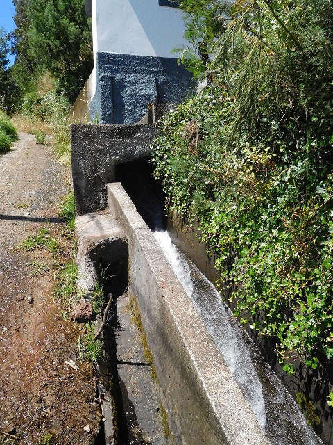 25.06.2016 Levada do Pico das Eiroses — Vom Wasserhaus zur Bacheinleitung — Foto 1