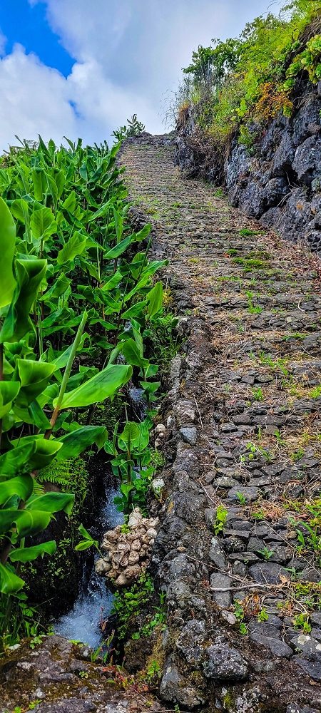 Levada do Chão da Ribeira —  — photo 9