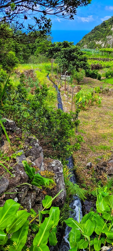 Levada do Chão da Ribeira —  — photo 4