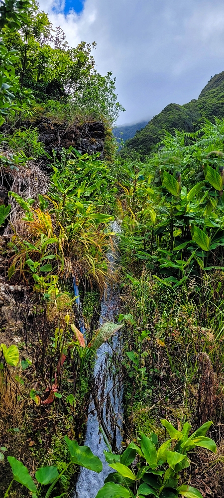 Levada do Chão da Ribeira —  — photo 2
