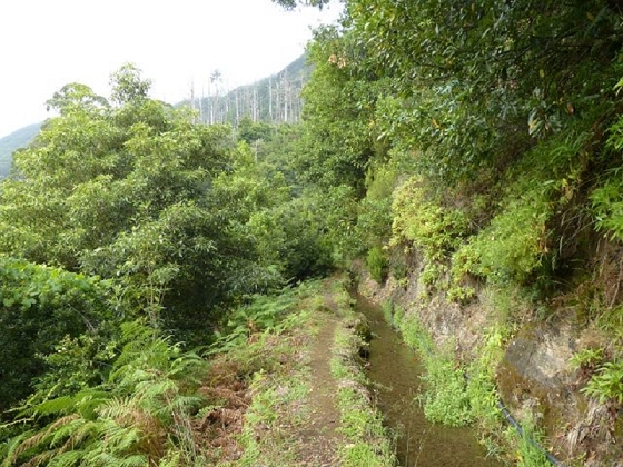 26 July 2013 Levadas de Cima and Achada Grande — On the Levada de Cima to the Madre — photo 10