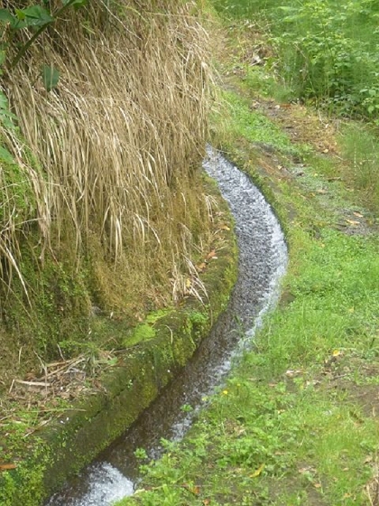 26 July 2013 Levadas de Cima and Achada Grande — On the Levada da Achada Grande to the Madre and back — photo 41
