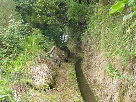26 July 2013 Levadas de Cima and Achada Grande — On the Levada da Achada Grande to the Madre and back — photo 43