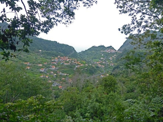 26 July 2013 Levadas de Cima and Achada Grande — On the Levada da Achada Grande to the Madre and back — photo 44