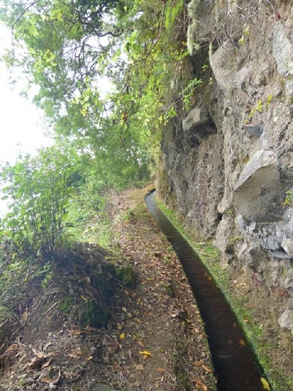 26 July 2013 Levadas de Cima and Achada Grande — On the Levada da Achada Grande to the Madre and back — photo 45