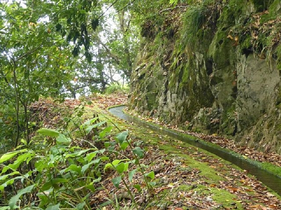 26 July 2013 Levadas de Cima and Achada Grande — On the Levada da Achada Grande to the Madre and back — photo 46