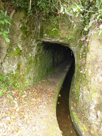 26 July 2013 Levadas de Cima and Achada Grande — On the Levada da Achada Grande to the Madre and back — photo 49
