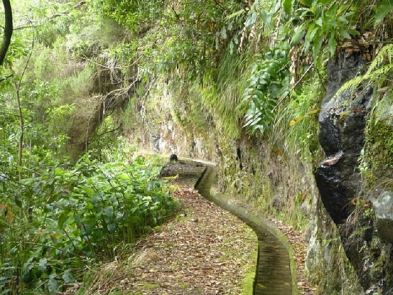 26 July 2013 Levadas de Cima and Achada Grande — On the Levada da Achada Grande to the Madre and back — photo 52