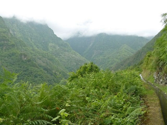 26 July 2013 Levadas de Cima and Achada Grande — On the Levada da Achada Grande to the Madre and back — photo 53