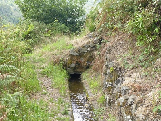 26 July 2013 Levadas de Cima and Achada Grande — On the Levada da Achada Grande to the Madre and back — photo 56