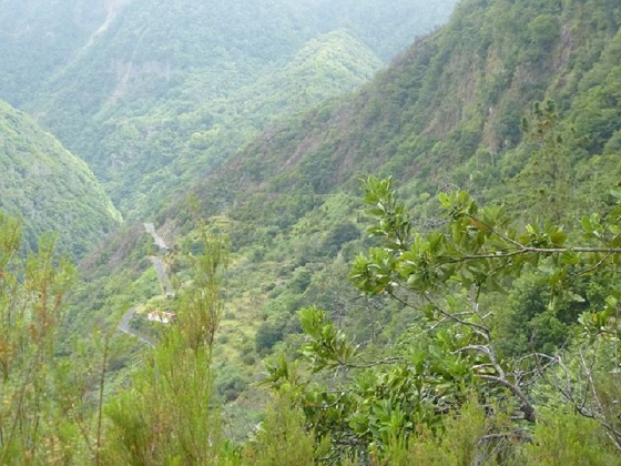 26 July 2013 Levadas de Cima and Achada Grande — On the Levada da Achada Grande to the Madre and back — photo 57