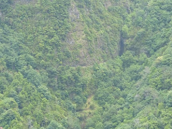 26 July 2013 Levadas de Cima and Achada Grande — On the Levada da Achada Grande to the Madre and back — photo 58