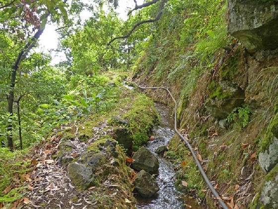 26 July 2013 Levadas de Cima and Achada Grande — On the Levada de Cima to the Madre — photo 13