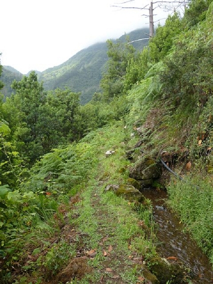 26 July 2013 Levadas de Cima and Achada Grande — On the Levada de Cima to the Madre — photo 14