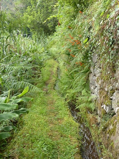 26 July 2013 Levadas de Cima and Achada Grande — On the Levada de Cima to the Madre — photo 20