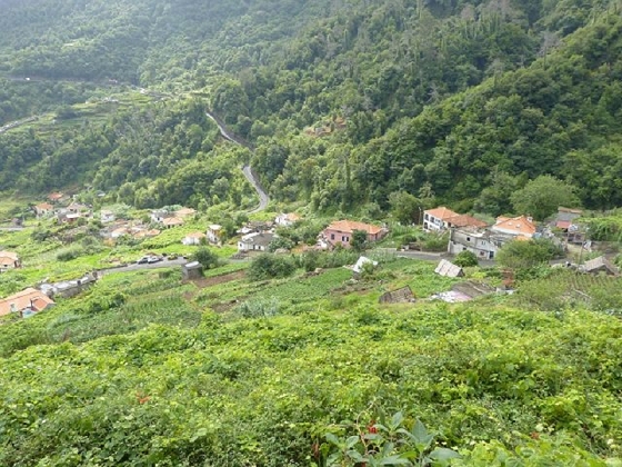 26 July 2013 Levadas de Cima and Achada Grande — On the Levada de Cima to the Madre — photo 21