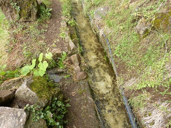 26 July 2013 Levadas de Cima and Achada Grande — On the Levada de Cima to the Madre — photo 22