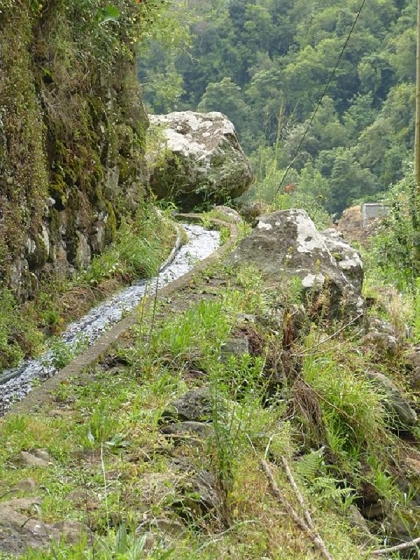 26 July 2013 Levadas de Cima and Achada Grande — On the Levada de Cima to the Madre — photo 23