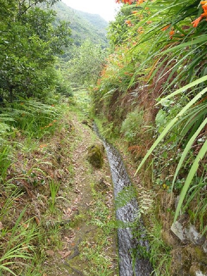 26 July 2013 Levadas de Cima and Achada Grande — On the Levada de Cima to the Madre — photo 26
