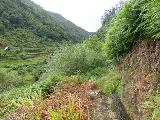 26 July 2013 Levadas de Cima and Achada Grande — On the Levada de Cima to the Madre — photo 27